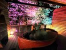 月の山源泉エリア 月の舟〜イルミネーション〜