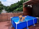 月の離宮〜ミニプール〜
