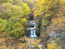 ���P�l�\���ꁞ�@�ʐ^�񋟁F�i�����j���ό����ۋ���