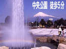 富士市中央公園は徒歩5分!以外に近くにのんびりスポット