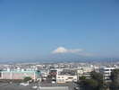 セミダブルルーム富士山側客室からの眺め☆