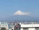 富士山側客室からの眺め☆