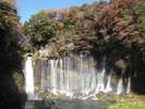 白糸の滝