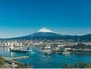 田子の浦みなと公園 車で約10分です。