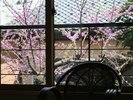 和室10畳「小雪」