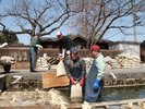 温泉を利用した種もみの「芽出し」(4月初め〜下旬)