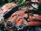 新鮮な萩の地魚