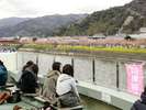 河津川沿いには無料の足湯が3箇所あります