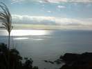 花海月から山を散歩するとこんな絶景が広がります。