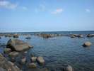 河津べロバ海岸。夏は磯遊びでお子様連れに人気スポットです。