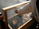 河津大噴湯公園、温泉でのたまご作りコーナー