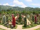 河津バガテル公園。春と秋が見ごろです