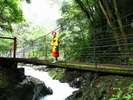 河津七滝・釜滝付近吊り橋
