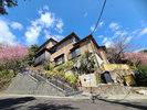2月には当館の河津桜もきれいに見られます