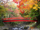 修善寺温泉街の紅葉