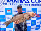 黄金崎公園マリンスポーツセンター
