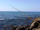 釣り竿の貸出しを行っております。(数量限定)