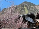 【外観】大浴場(春)
