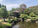 姫路城西御屋敷跡庭園 好古園