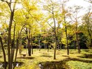 水庭イメージ