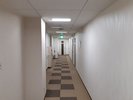 �q���K�̘L���i�R�K�j�ł��B