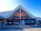 【当館から車で16分】新鮮な魚介類や地元の特産品が豊富に揃う(冬はカニ)「新湊きっときと市場」