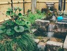高屋稲荷�@