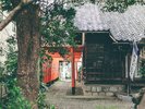 高屋稲荷�D
