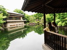 周辺観光│豊島区立目白庭園(徒歩で約15分)