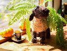カウンターラウンジ