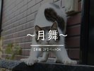 本館【月舞の間】ペット可