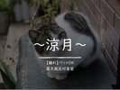 離れ【涼月】ペット可