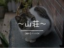 離れ【山荘】ペット可