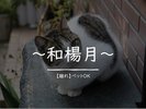 離れ【和楊月】ペット可