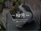 離れ【和月】ペット可