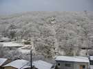 客室からの雪景色