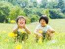 青々とした芝生が目の前にひろがる「癒しの庭」