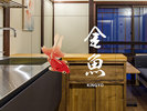 客室【金魚】