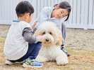 ドッグラン