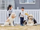 大型犬もOK