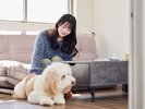 愛犬とグランピング