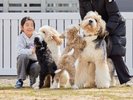 頭数制限無し