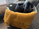 ・【グランピングドーム・共通】お部屋は冷暖房完備!さらにブランケットも常備しています