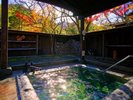*貸切露天風呂(紅葉)/敷地内の落葉樹の紅葉をご覧いただけます