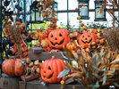 オータム・ハロウィンガーデン
