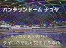 バンテリンドームナゴヤ「野球もライブも、すべてが主役になる空間」