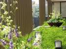 館内テラスの観葉植物。季節のお花でおもてなしいたします。