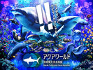 アクアワールド大洗水族館