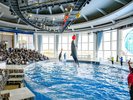 アクアワールド大洗水族館