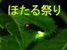ほたるを見に行こう!